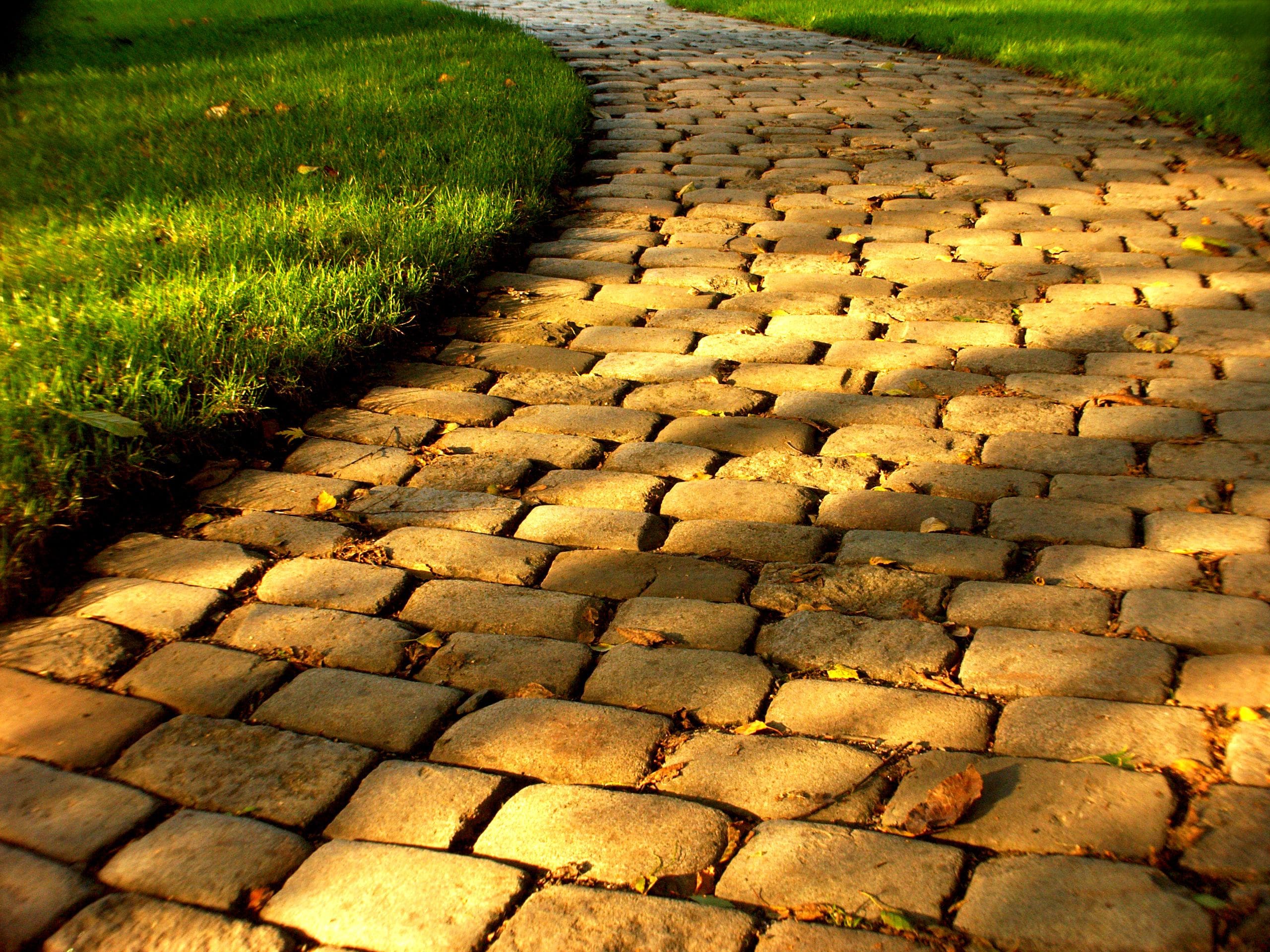 The yellow brick road representing Dorothy's customer journey